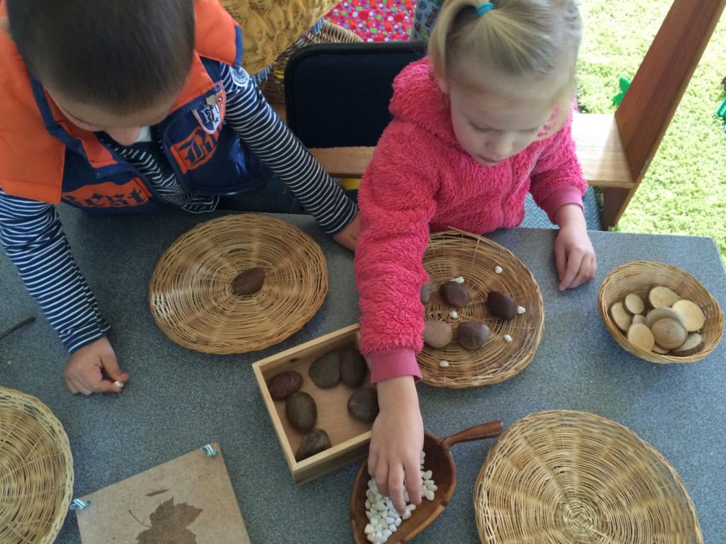 Classification is one of the essential STEM in skills in preschool